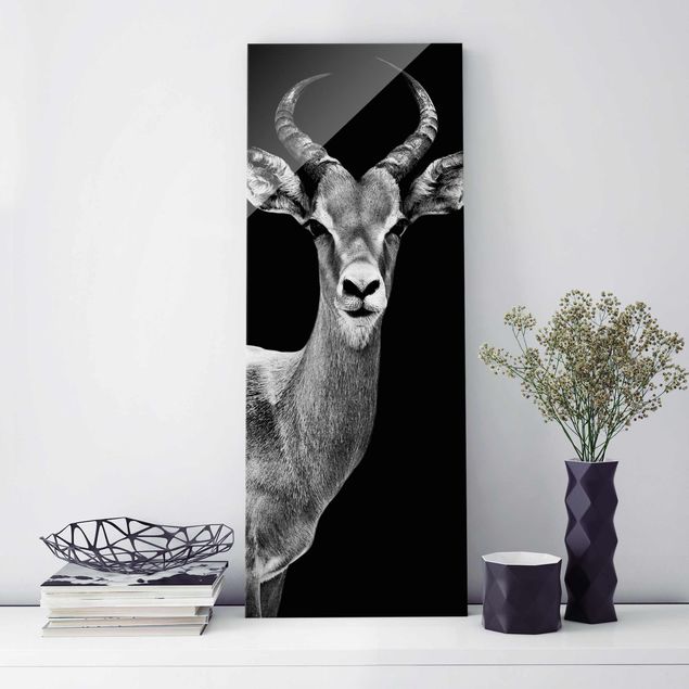 Wandbilder Glas XXL Impala Antilope schwarz-weiss