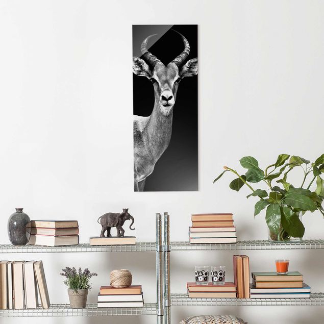 Schwarz-Weiß Glasbilder Impala Antilope schwarz-weiss