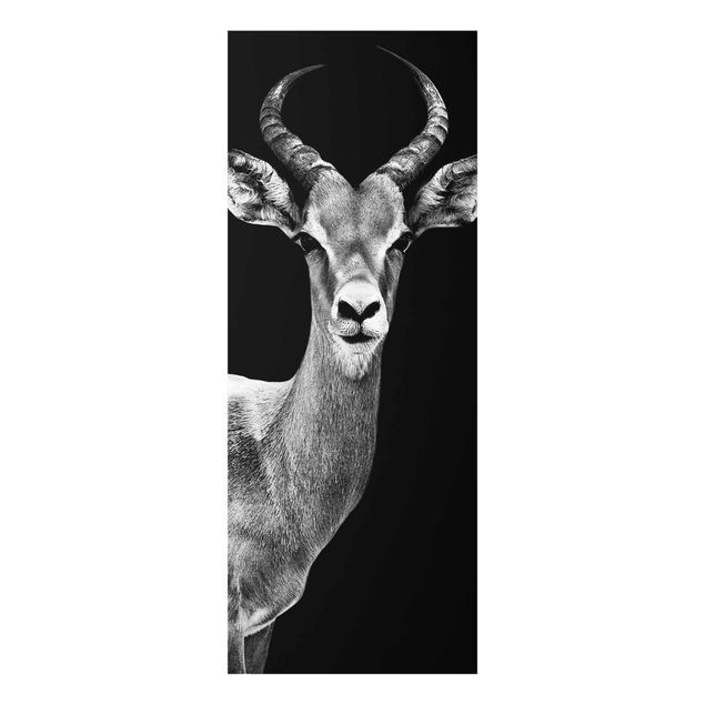 Kunstdruck Philippe Hugonnard Impala Antilope schwarz-weiss