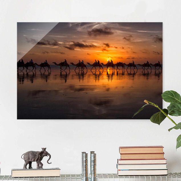 Wandbilder Tiere Kamel Safari
