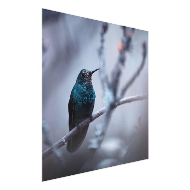 Schöne Wandbilder Kolibri im Winter