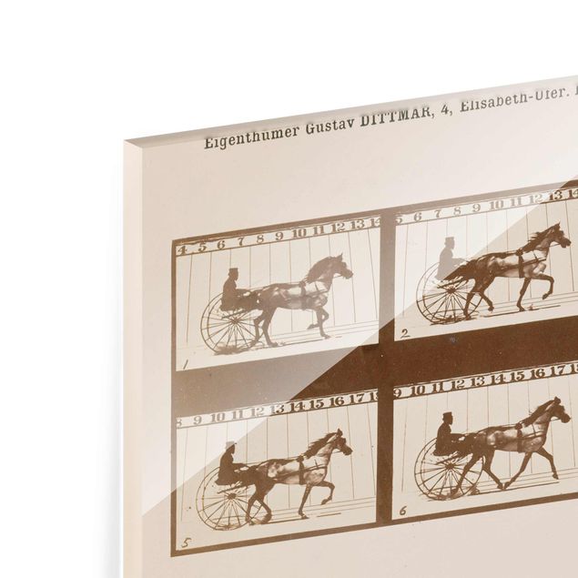 Kunstkopie Eadweard Muybridge - Das Pferd in Bewegung