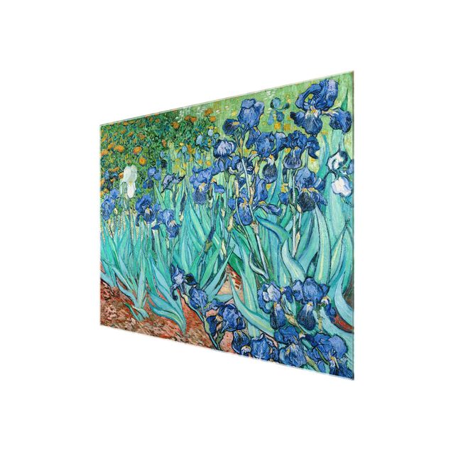 Glasbilder Natur Vincent van Gogh - Iris