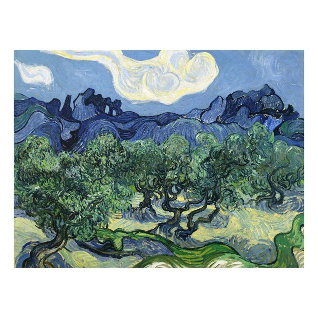Glasbilder Natur Vincent van Gogh - Olivenbäume