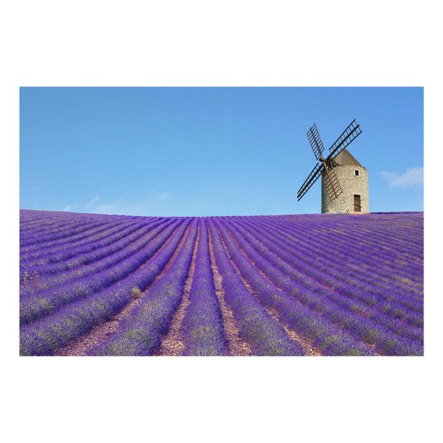 Bilder auf Glas Lavendelduft in der Provence
