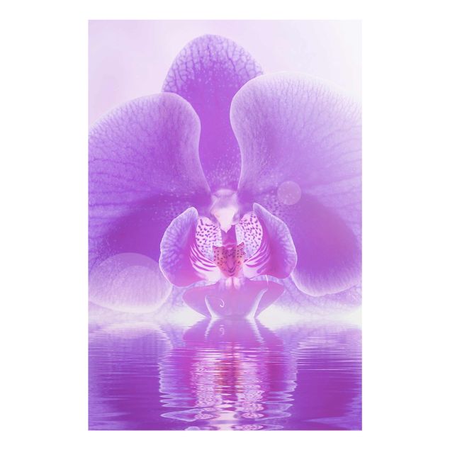 Schöne Wandbilder Lila Orchidee auf Wasser