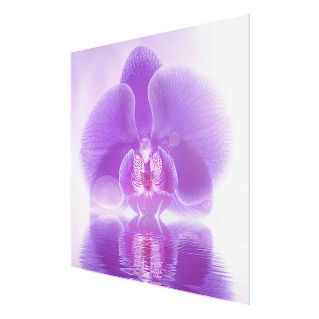 Bilder auf Glas Lila Orchidee auf Wasser