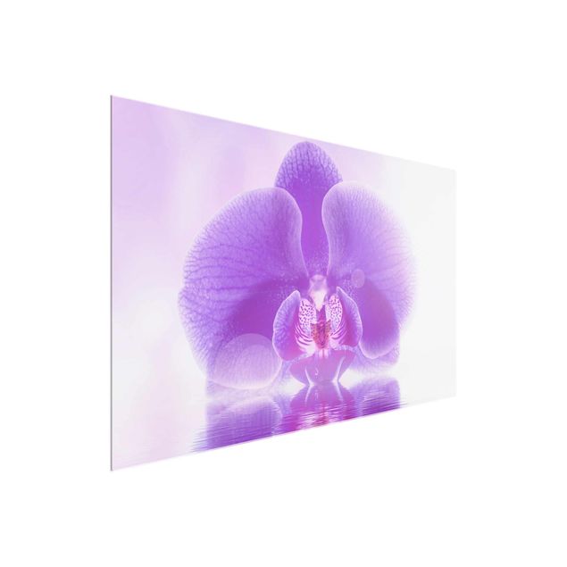 Glasbild Natur Lila Orchidee auf Wasser