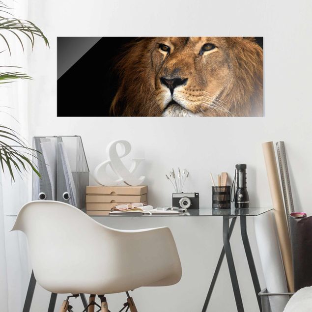 Glasbild Tiere Löwenblick