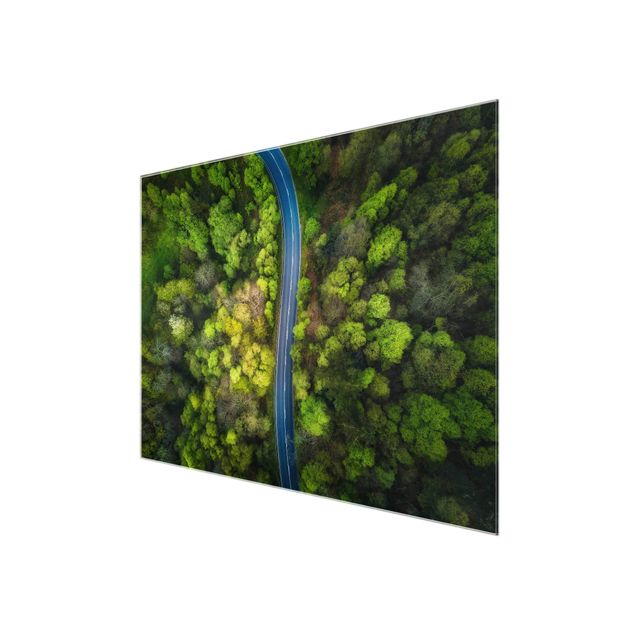 Glasbilder Luftbild - Asphaltstraße im Wald