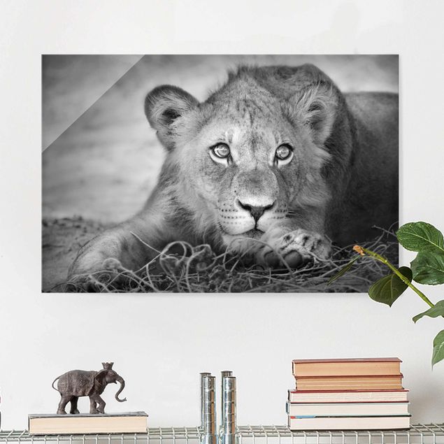 Wandbilder Tiere Lurking Lionbaby