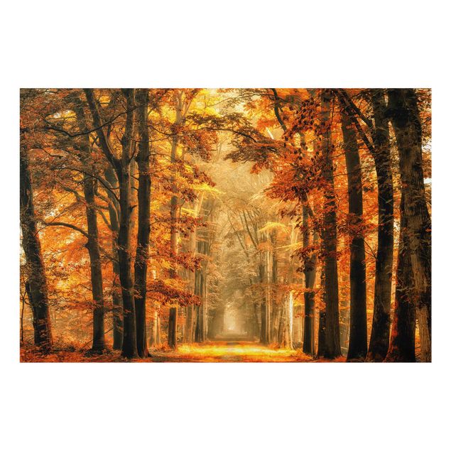 Bilder auf Glas Märchenwald im Herbst