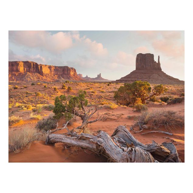 Bilder auf Glas Monument Valley Navajo Tribal Park Arizona