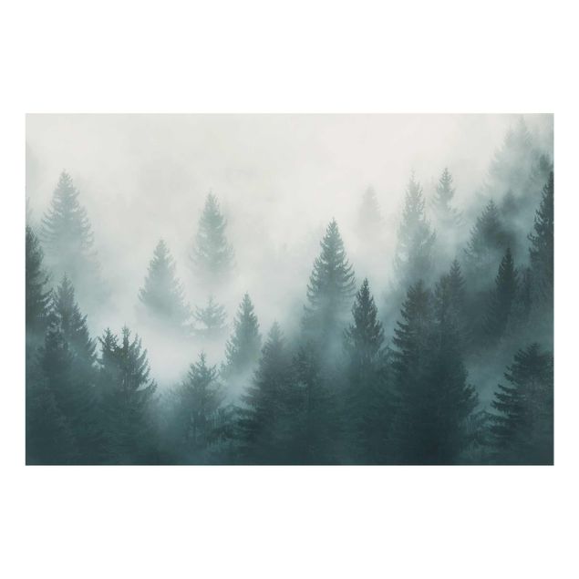 Bilder für die Wand Nadelwald im Nebel