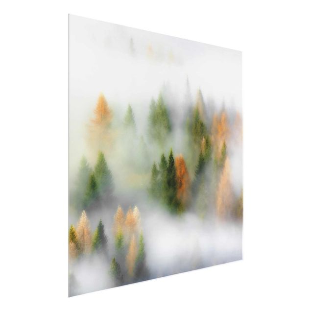 Wandbilder Nebelwald im Herbst