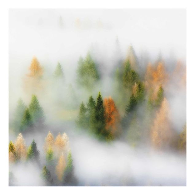 Glasbilder Nebelwald im Herbst