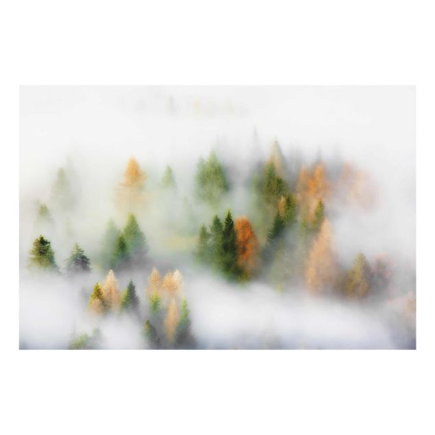 Glas Wandbilder Nebelwald im Herbst