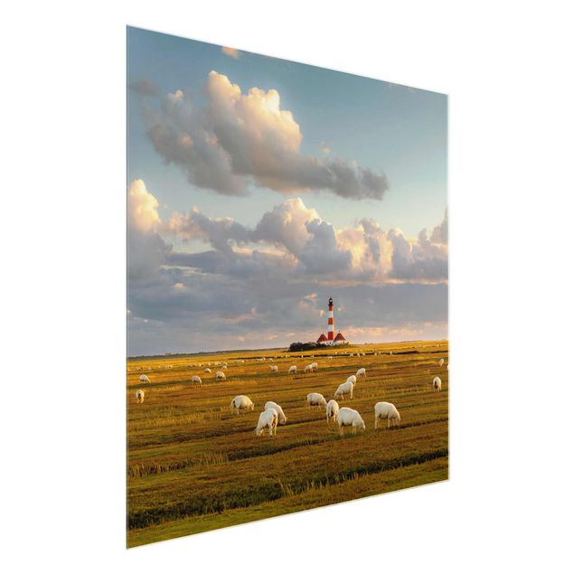 Glasbild Natur Nordsee Leuchtturm mit Schafsherde