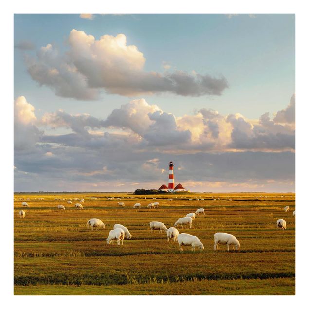 Glasbilder Landschaft Nordsee Leuchtturm mit Schafsherde
