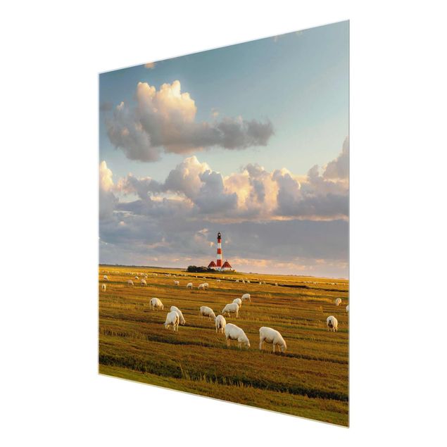 Schöne Wandbilder Nordsee Leuchtturm mit Schafsherde