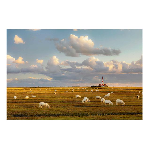 Glasbilder Landschaften Nordsee Leuchtturm mit Schafsherde