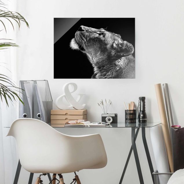 Schwarz-Weiß Glasbilder Portrait einer Löwin