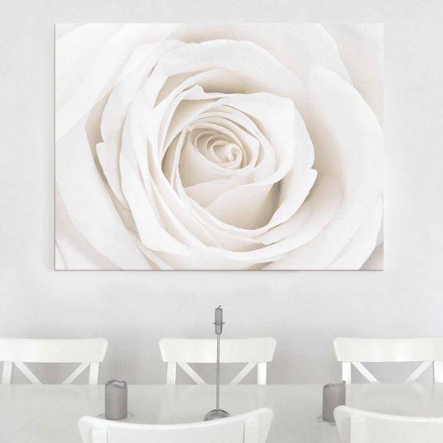 Glasbild Blumen Pretty White Rose