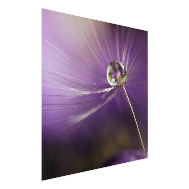 Schöne Wandbilder Pusteblume in Violett