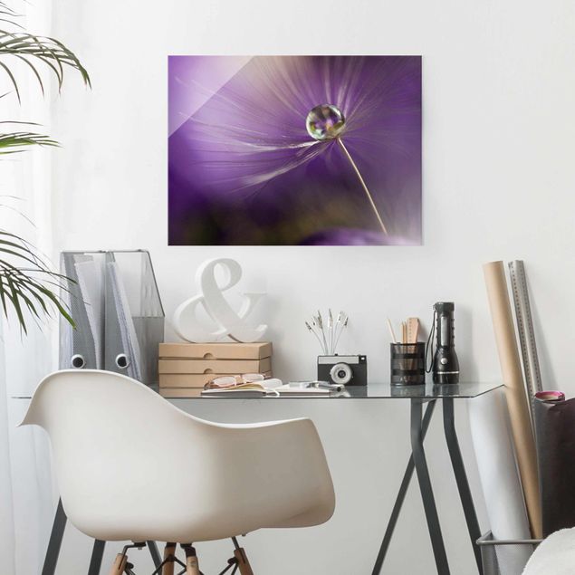 Natur Glasbilder Pusteblume in Violett