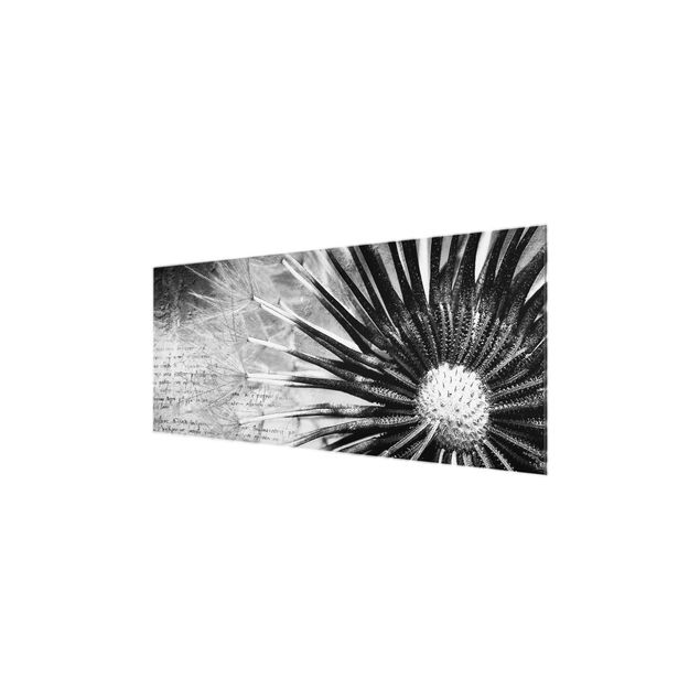 Glasbilder Pusteblume Schwarz & Weiß