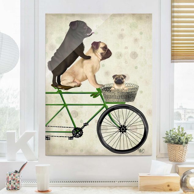 Wandbilder Tiere Radtour - Möpse auf Fahrrad