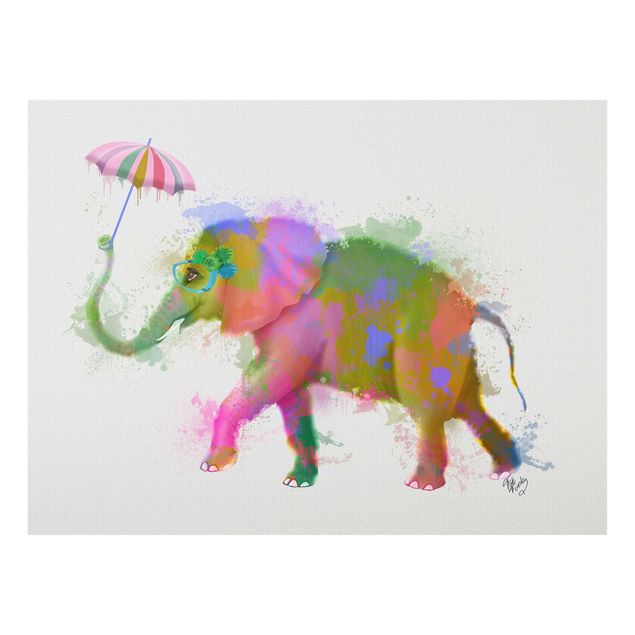 Glasbilder Regenbogen Splash Elefant
