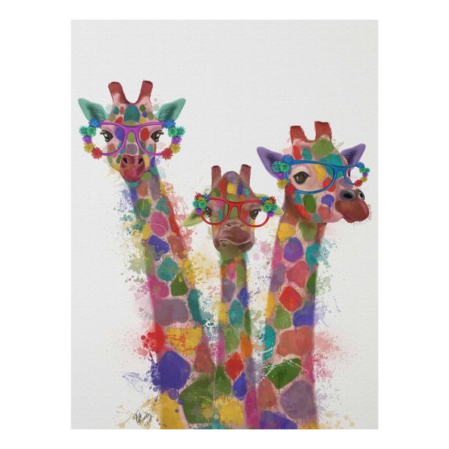 Bilder auf Glas Regenbogen Splash Giraffen-Trio