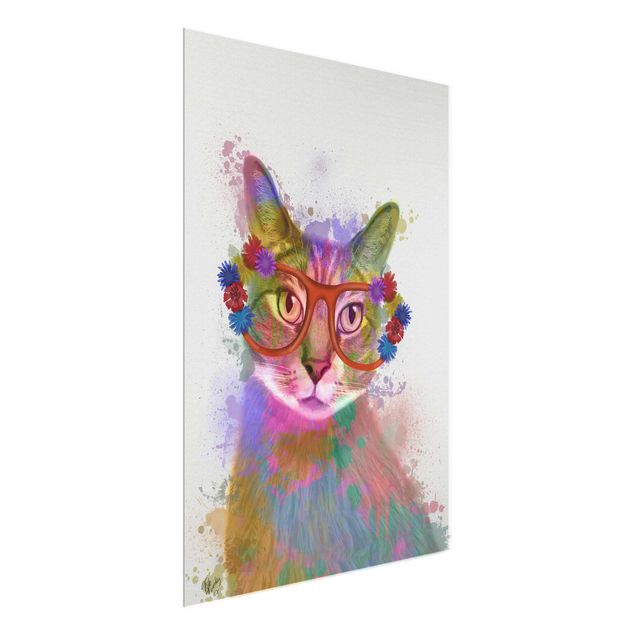 Schöne Wandbilder Regenbogen Splash Katze
