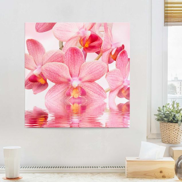 Glasbilder XXL Rosa Orchideen auf Wasser
