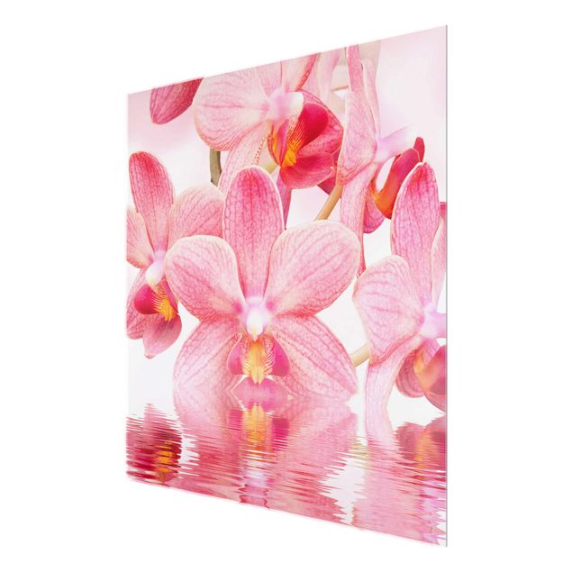 Glasbilder Rosa Orchideen auf Wasser