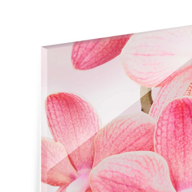 Glasbild - Rosa Orchideen auf Wasser - Quadrat 1:1