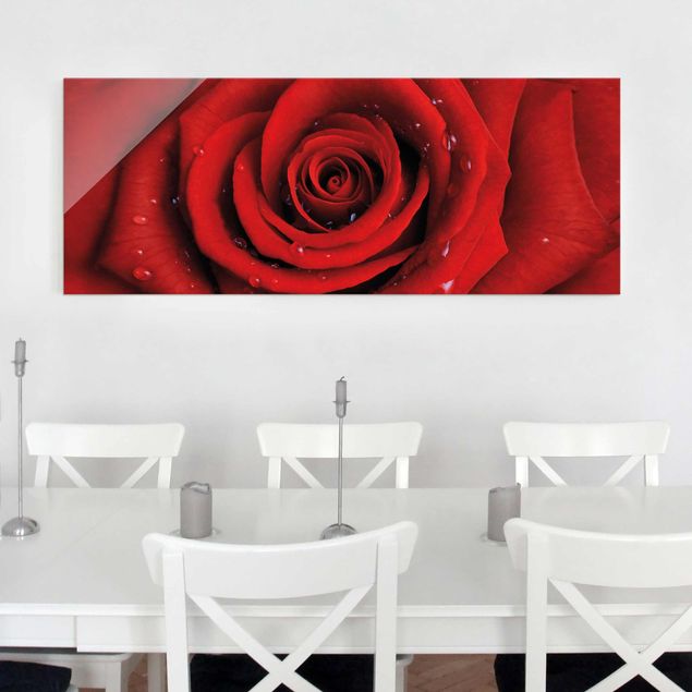 Glasbilder Rose Rote Rose mit Wassertropfen