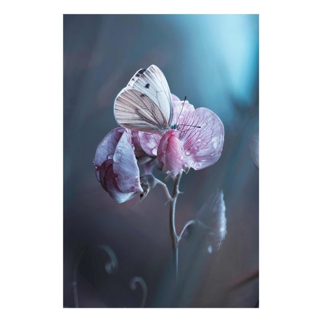 Bilder für die Wand Schmetterling im Regen