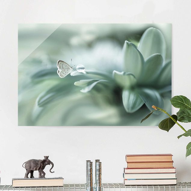 Wandbilder Tiere Schmetterling und Tautropfen in Pastellgrün