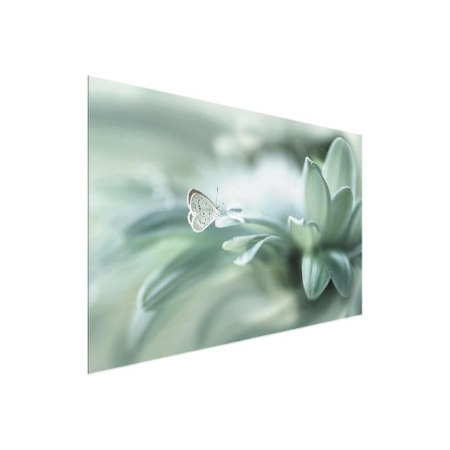 Natur Glasbilder Schmetterling und Tautropfen in Pastellgrün