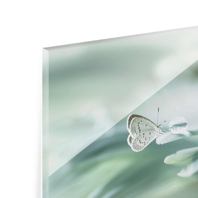 Glas Wandbilder Schmetterling und Tautropfen in Pastellgrün