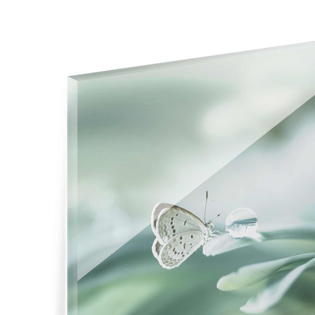 Glasbilder Schmetterling und Tautropfen in Pastellgrün