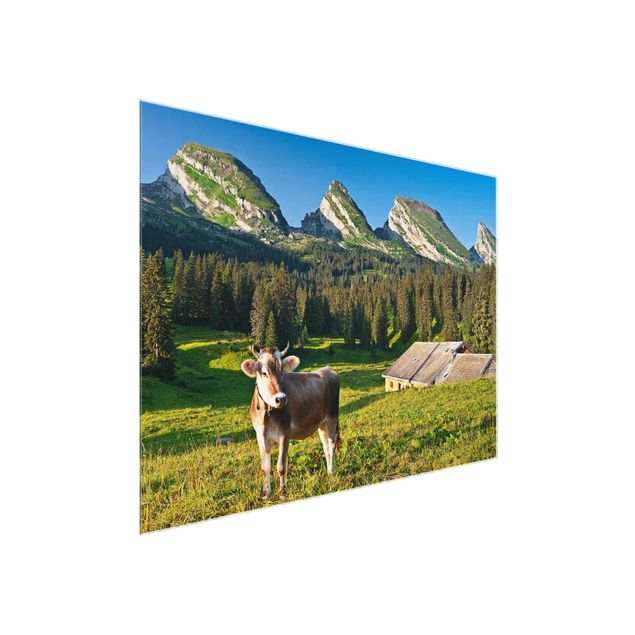 Glasbild Landschaften Schweizer Almwiese mit Kuh