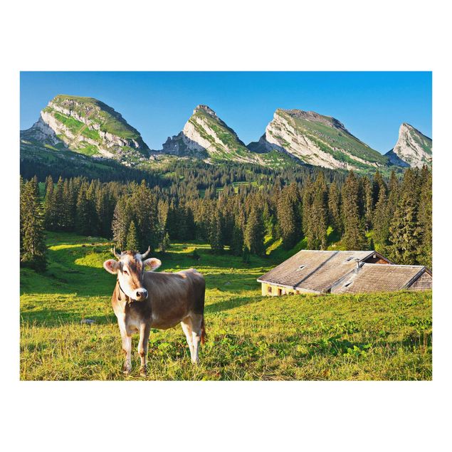 Bilder für die Wand Schweizer Almwiese mit Kuh