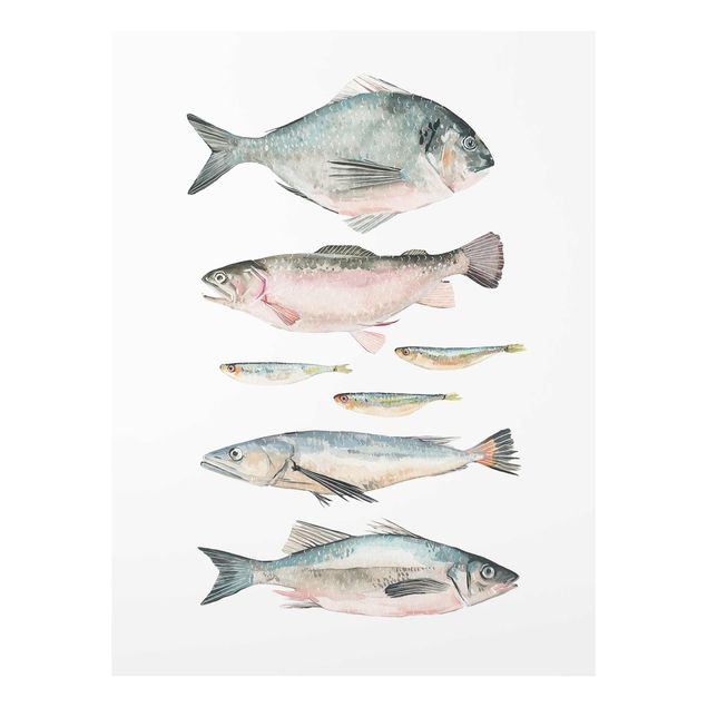 Bilder auf Glas Sieben Fische in Aquarell II