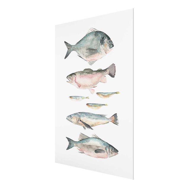 Glasbild - Sieben Fische in Aquarell II - Hochformat 4:3