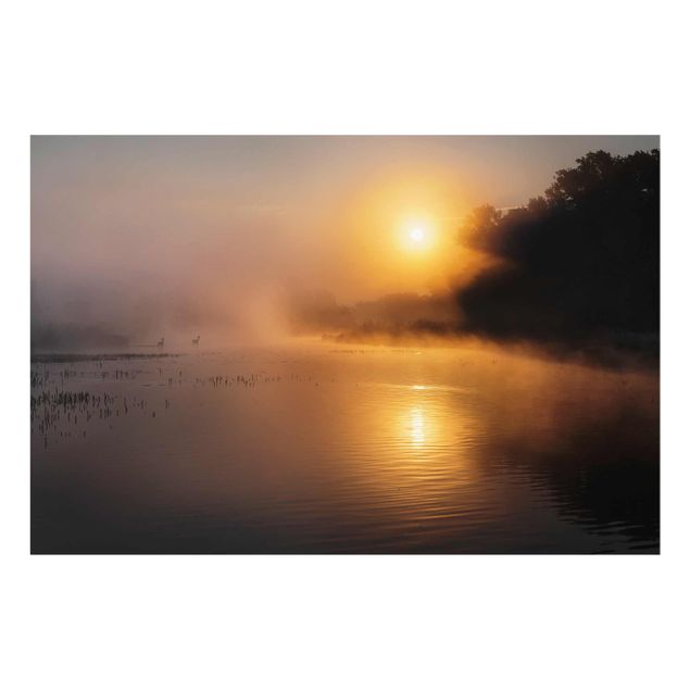 Glasbilder Landschaften Sonnenaufgang am See mit Rehen im Nebel