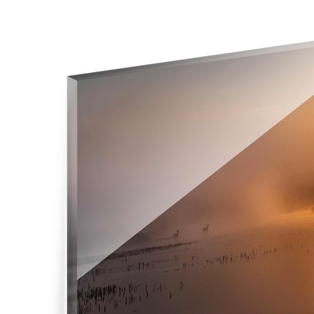 Glasbild - Sonnenaufgang am See mit Rehen im Nebel - Quer 3:2