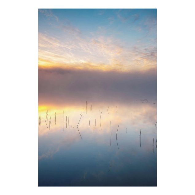 Glasbilder Landschaften Sonnenaufgang schwedischer See